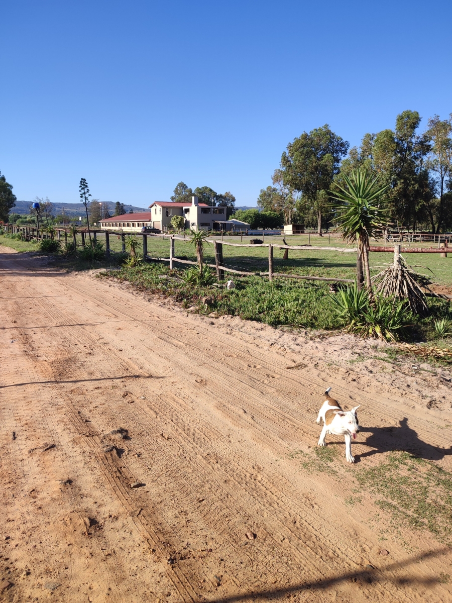 10 Bedroom Property for Sale in Philadelphia Western Cape